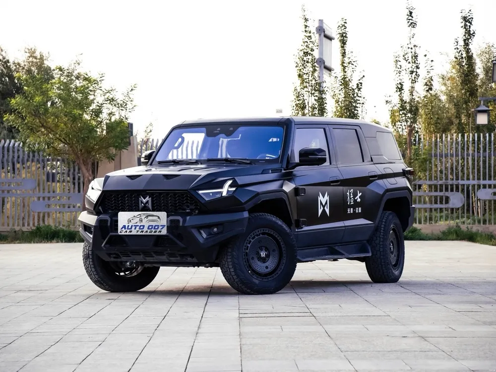 Brave Warrior 917 Extend Range Car Electric Car