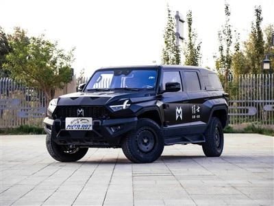 Brave Warrior 917 Extend Range Car Electric Car